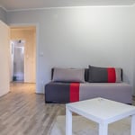 Long-term rental of a cozy 2-room apartment, 60 m², Vračar district, Belgrade, Serbia